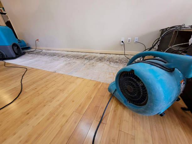 Professional Sewage Cleanup technician working in Hubbardston, MI